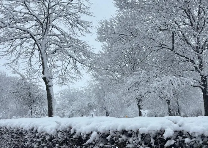 Апартаменты Casa 3 Симпелвелд